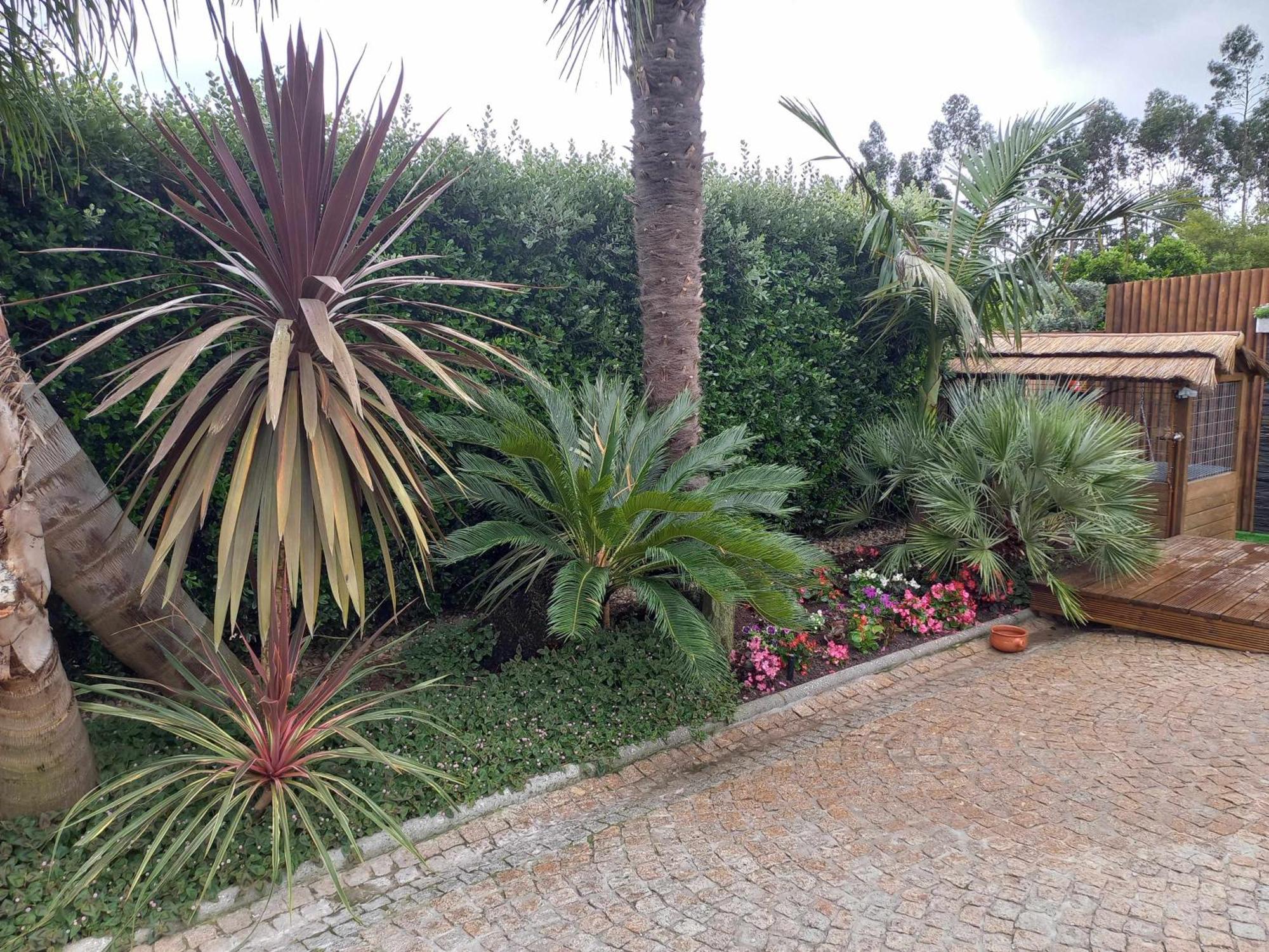 Currais O Pequeno Paraiso Entre O Mar E A Serra Aveiro Exterior foto