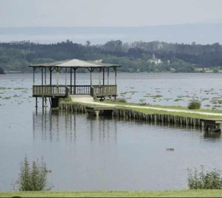 Currais O Pequeno Paraiso Entre O Mar E A Serra Aveiro Exterior foto